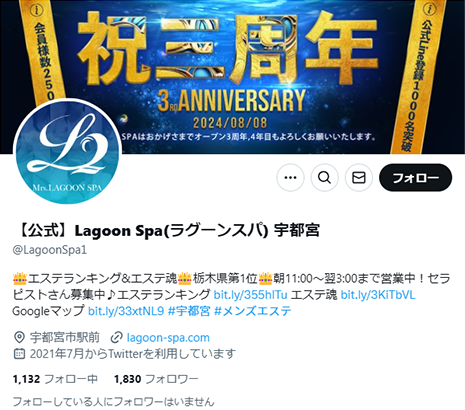 公式X